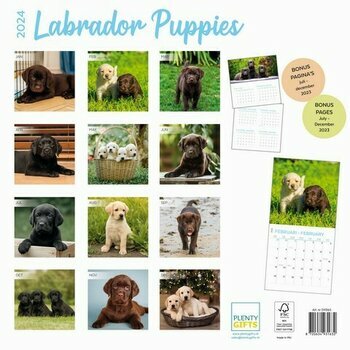Calendrier 2024 Labradors toutes couleurs chiot