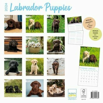 Calendrier 2024 Labradors toutes couleurs chiot Calendrier 2024 Labradors toutes couleurs chiot