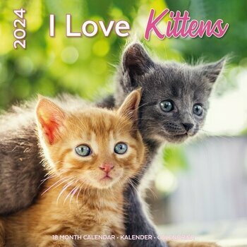 Calendrier 2024 J'aime les Chatons