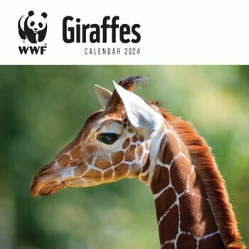 Calendrier 2024 Girafe WWF Calendrier 2024 Girafe WWF