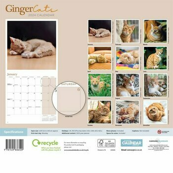 Calendrier 2024 Chats roux Calendrier 2024 Chats roux