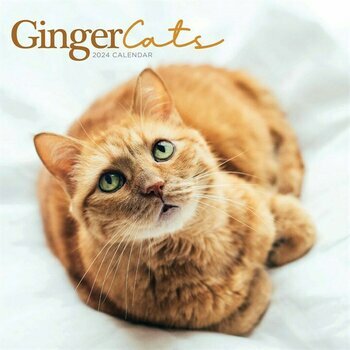 Calendrier 2024 Chats roux Calendrier 2024 Chats roux