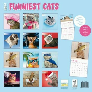 Calendrier 2024 Photo Humour chat Calendrier 2024 Photo Humour chat