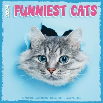 Calendrier 2024 Photo Humour chat Calendrier 2024 Photo Humour chat
