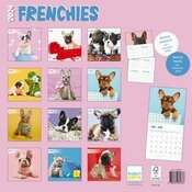 Calendrier 2024 Bouledogue franais Studio