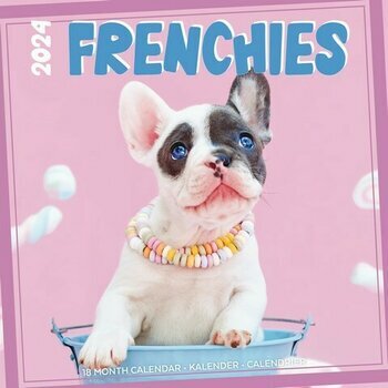 Calendrier 2024 Bouledogue français Studio Calendrier 2024 Bouledogue français Studio