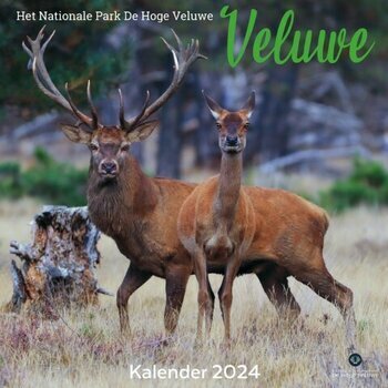Calendrier 2024 Animaux de la forêt Calendrier 2024 Animaux de la forêt