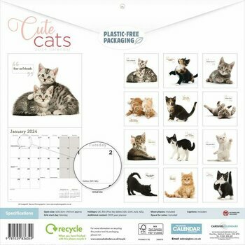 Calendrier 2024 Chatons mignon