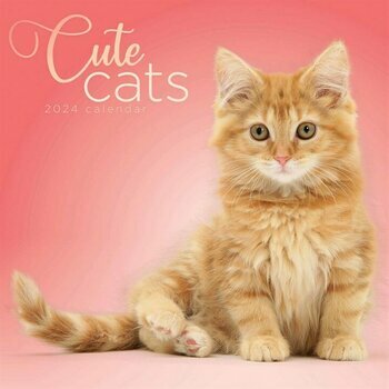 Calendrier 2024 Chatons mignon Calendrier 2024 Chatons mignon
