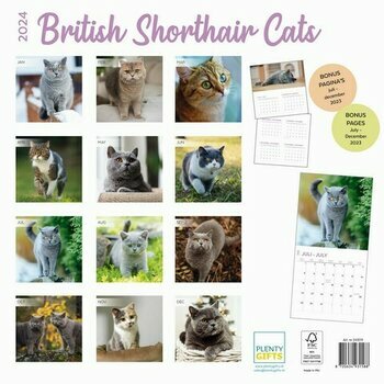 Calendrier 2024 British shorthair Calendrier 2024 British shorthair