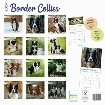 Calendrier 2024 Border Collie