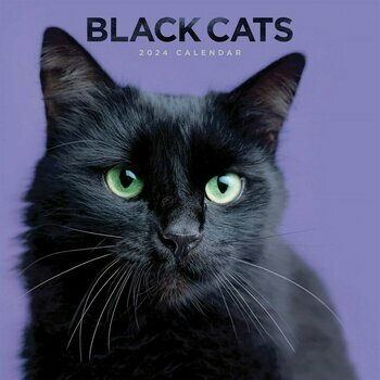 Calendrier 2024 Chats Noirs Calendrier 2024 Chats Noirs