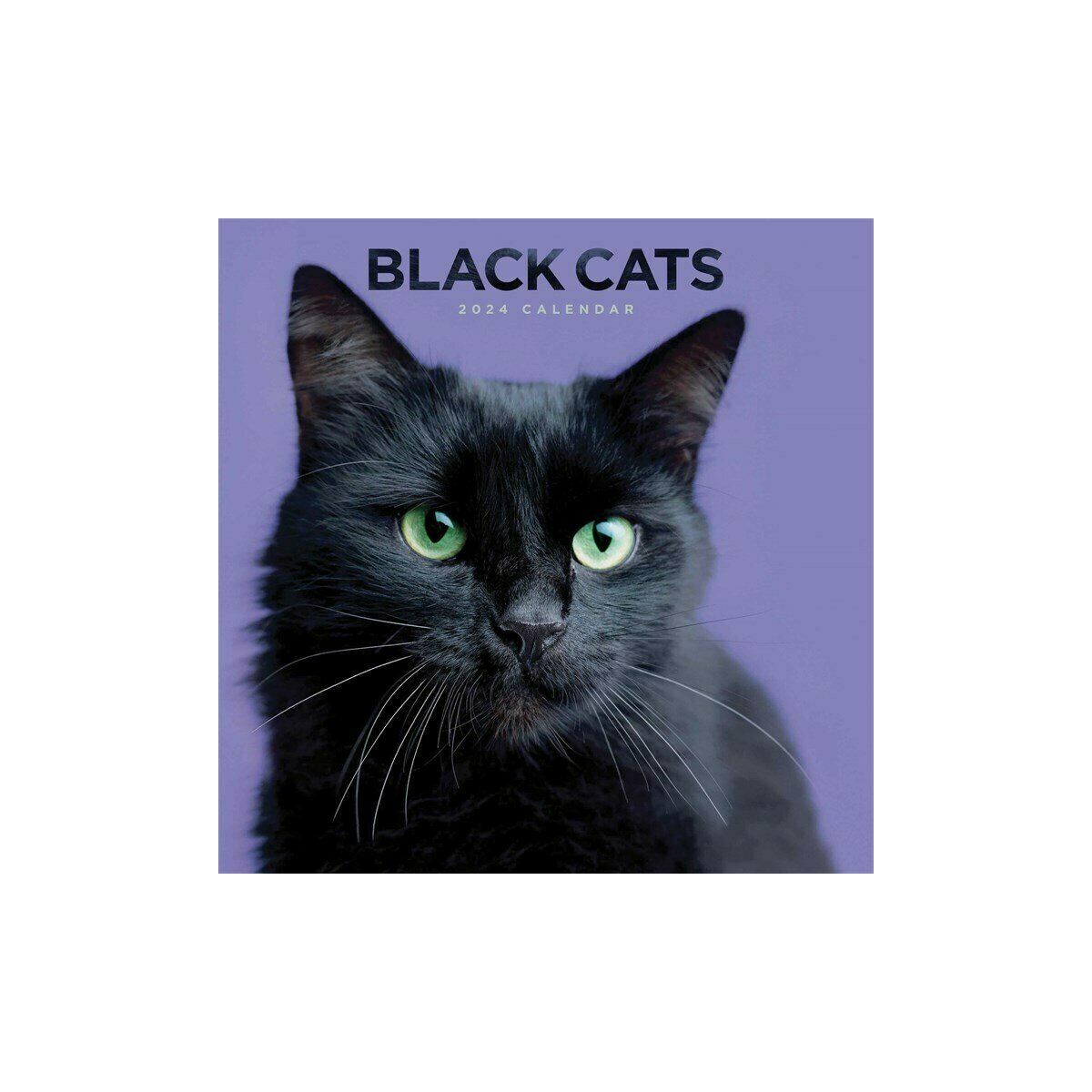 prénom chat 2024 femelle noir