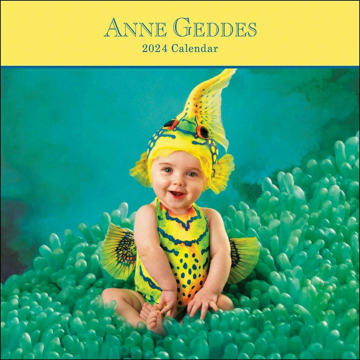 Calendrier 2024 Anne Geddes Nouveaux nés