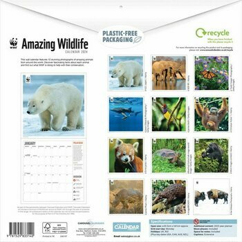 Calendrier 2024 Animaux Sauvage étonnant - WWF Calendrier 2024 Animaux Sauvage étonnant - WWF