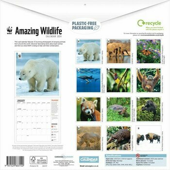 Calendrier 2024 Animaux Sauvage étonnant - WWF