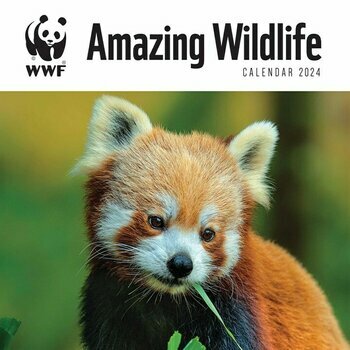 Calendrier 2024 Animaux Sauvage étonnant - WWF