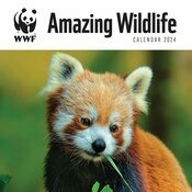 Calendrier 2024 Animaux Sauvage tonnant - WWF
