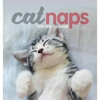 Calendrier Chevalet Chat Endormi 2024 Calendrier Chevalet Chat Endormi 2024