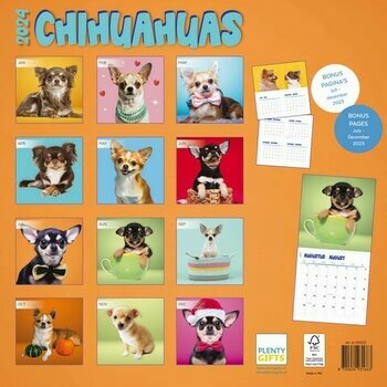 Calendrier 2024 Chihuahua studio Calendrier 2024 Chihuahua studio