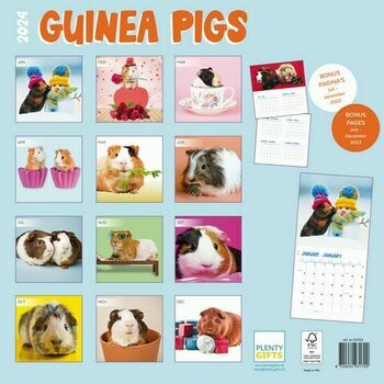 Calendrier 2024 Cochon d'inde studio Calendrier 2024 Cochon d'inde studio