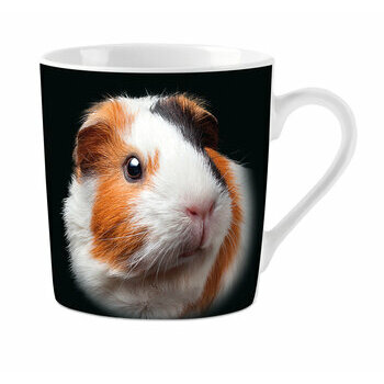 Mug Cochon d'inde