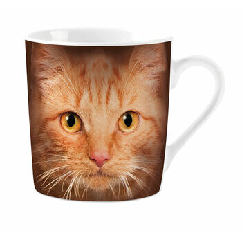 Mug Chat Roux Yeux 