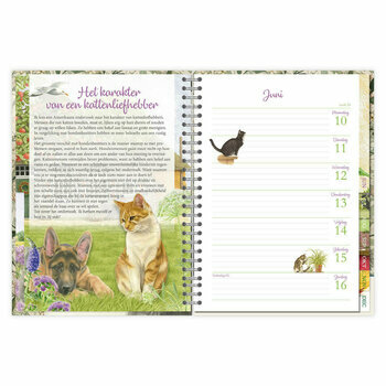 AGENDA Dessin Chat Francien Katten 2024