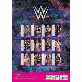 Calendrier 2024 Catch combat Femme format A3 Calendrier 2024 Catch combat Femme format A3