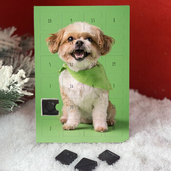 Calendrier de l'avent Shih Tzu personnalisé avec votre message