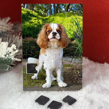 Calendrier de l'avent Cavalier King Charles personnalisé avec votre message