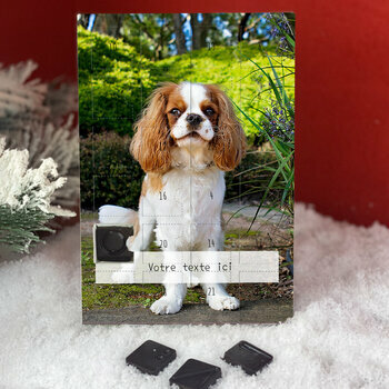 Calendrier de l'avent Cavalier King Charles personnalisé avec votre message