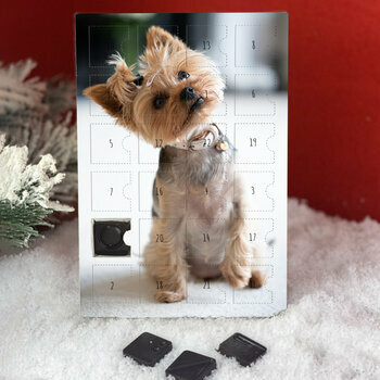 Calendrier de l'avent Yorkshire terrier personnalisé avec votre message