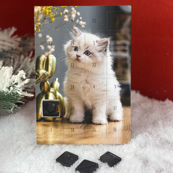  Calendrier 2024: Professionnel avec de Magnifiques Images de  Chiots et Chatons Mignons - 37 Pages de Calendrier 2024 Chats et Chiens  Adorables en  Nature et Chiots et Chatons (French Edition): Nature, Calendrier  2024: Libros