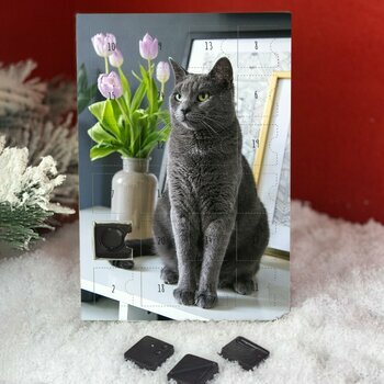 Calendrier de l'avent Chat Chartreux gris personnalisé avec votre message