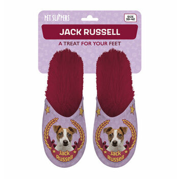 Chaussons Jack russell médaillé