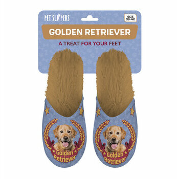 Chaussons Golden retriever médaillé