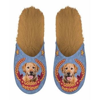 Chaussons Golden retriever médaillé