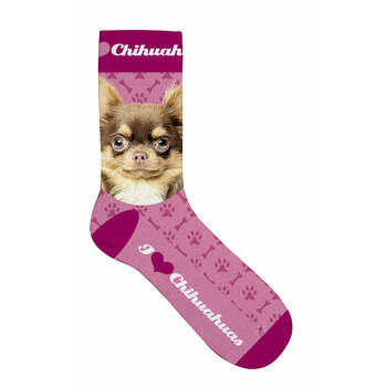 Chaussettes Chihuahua I love