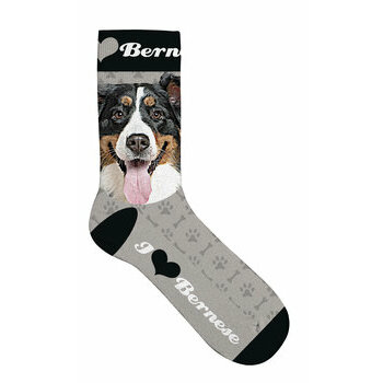 Chaussettes Bouvier Bernois I love