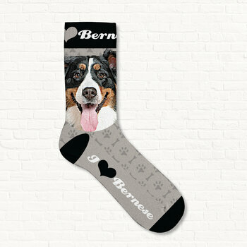 Chaussettes Bouvier Bernois I love