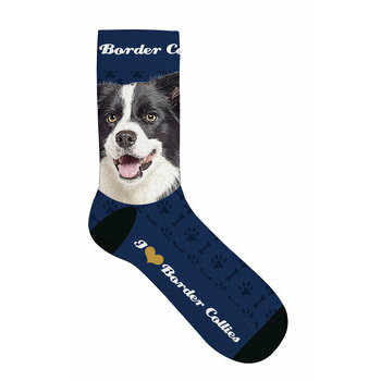 Chaussettes Border collie