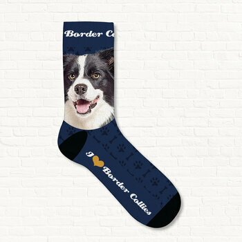 Chaussettes Border collie