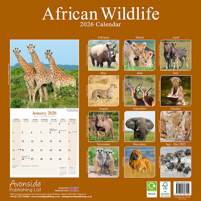 Calendrier Mural 2026 Animaux sauvages