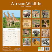 Calendrier Mural 2026 Animaux sauvages