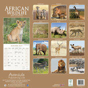 Calendrier mural 2025 Savane