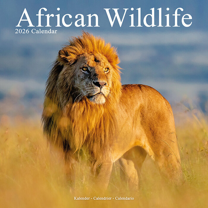 Calendrier Papier 2026 Animaux sauvages
