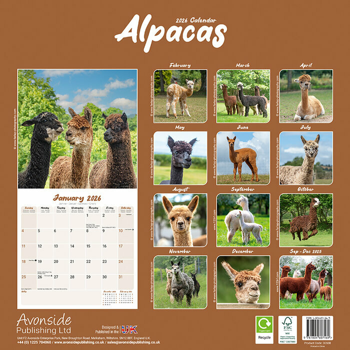 Calendrier Papier 2026 Lama Alpaga