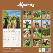 Calendrier Papier 2026 Lama Alpaga