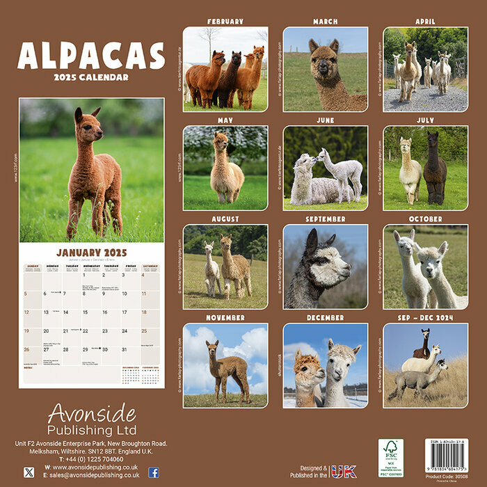 Calendrier 2025  Alpaga